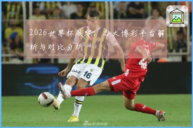 2026世界杯滚球：各大博彩平台解析与对比分析