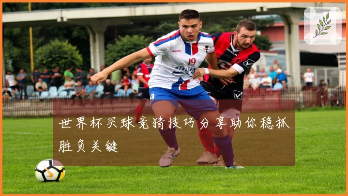 世界杯买球竞猜技巧分享助你稳抓胜负关键